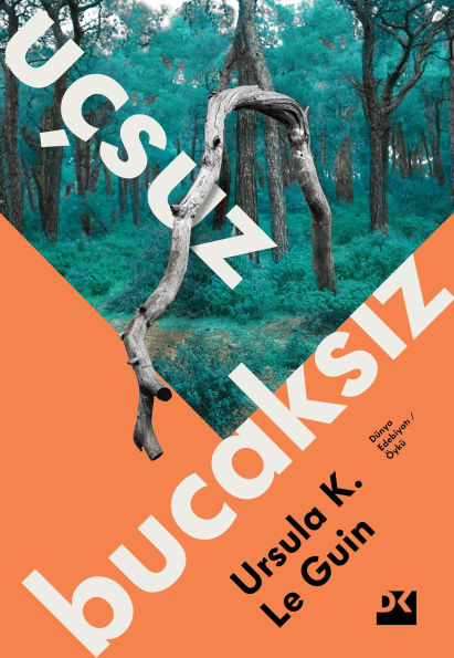 Uçsuz Bucaksiz