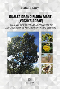 Title: Qualea grandiflora Mart. (Vochysiaceae): uma análise proteômica dessa espécie acumuladora de alumínio nativa do Cerrado, Author: Natália Cury