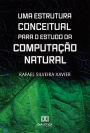 Uma Estrutura Conceitual para o Estudo da Computação Natural