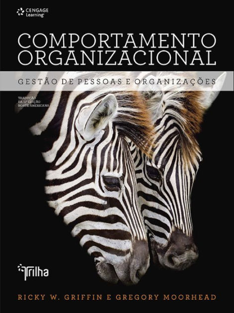 Comportamento Organizacional: Gestão De Pessoas E Organizações By Ricky ...