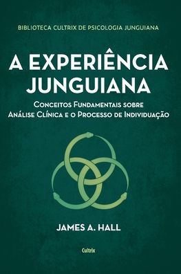 A experiência junguiana