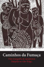 Caminhos da fumaça: Uma etnografia do xamanismo Kalapalo no Alto Xingu