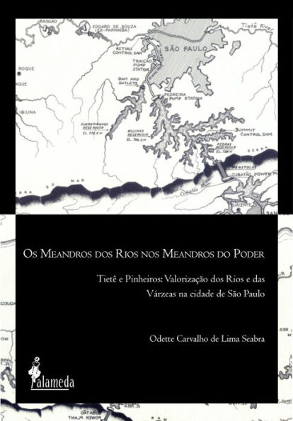 Os meandros dos rios nos meandros do poder: Tietê e Pinheiros: valorização dos rios e das várzeas na Cidade de São Paulo