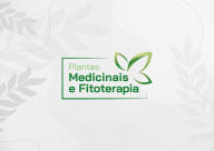 Title: Plantas Medicinais, Author: Andressa Cavalcante Paz e Silva