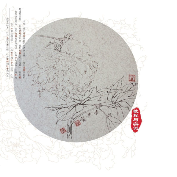 Course and Examples of Painting Techniques for Peony with Gongbi/工笔牡丹写生技法教程与实例