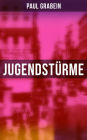 Jugendstürme: Ein Berliner Roman