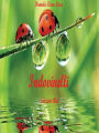 Il piccolo libro degli indovinelli