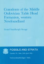 Fossils and Strata, Conodonts of the Middle Ordovician Table Head Formation, Western Newfoundland / Edition 1