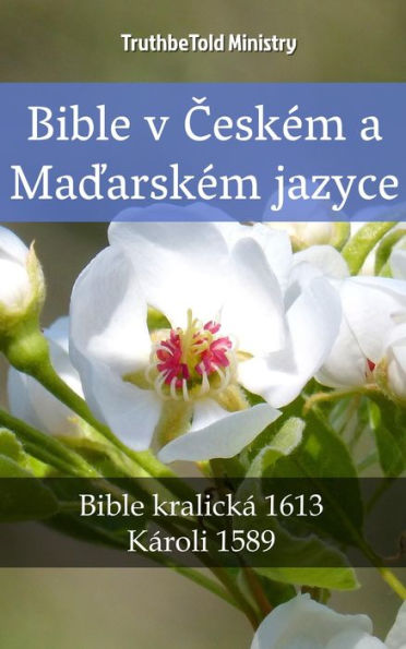 Bible v Ceském a Madarském jazyce: Bible kralická 1613 - Károli 1589