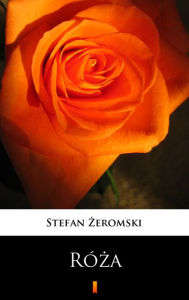 Title: Róza: Dramat niesceniczny, Author: Stefan Zeromski