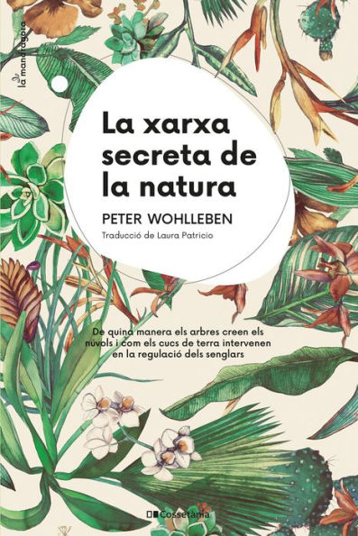 La xarxa secreta de la natura: De quina manera els arbres creen els núvols i com els cucs de terra intervenen en la regulació dels senglars
