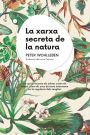 La xarxa secreta de la natura: De quina manera els arbres creen els núvols i com els cucs de terra intervenen en la regulació dels senglars
