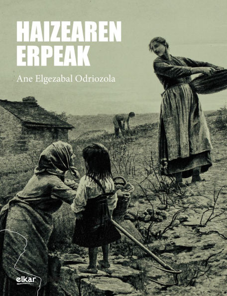 Haizearen erpeak
