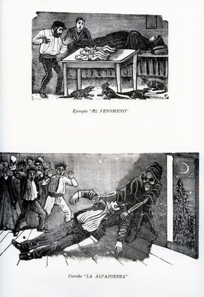 Posada: Monograph