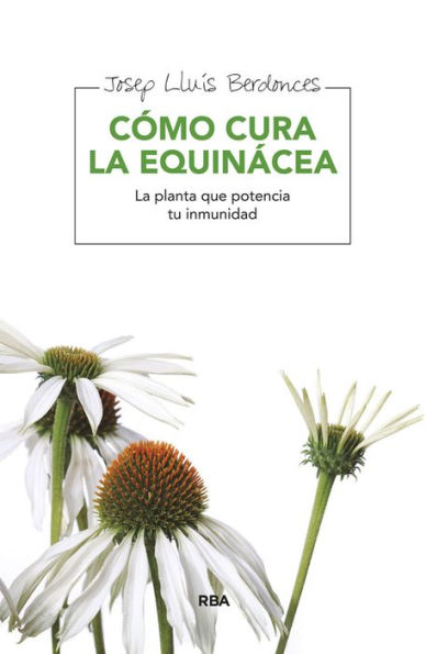 Como cura la equinácea: La planta que potencia tu inmunidad