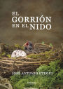 El gorrión en el nido