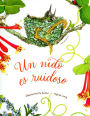 Un nido es ruidoso