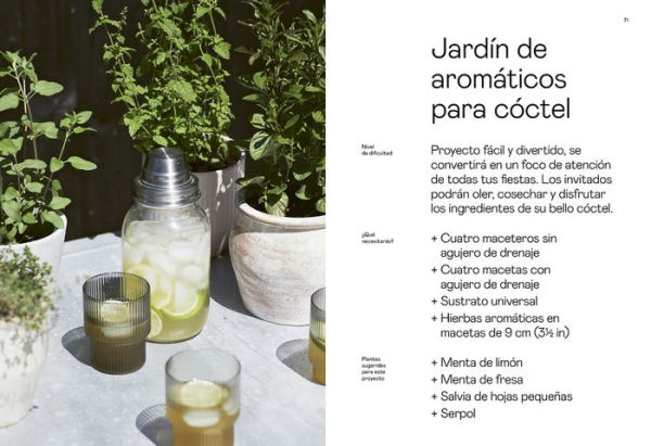 Cultivo de hierbas aromï¿½ticas: Una guï¿½a para cultivar y cosechar en cualquier lugar