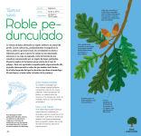 Alternative view 3 of ï¿½rboles y su magia / Trees and Their Magic