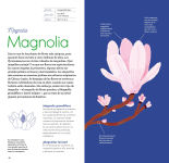 Alternative view 3 of Flores y su magia / Flowers and Their Magic