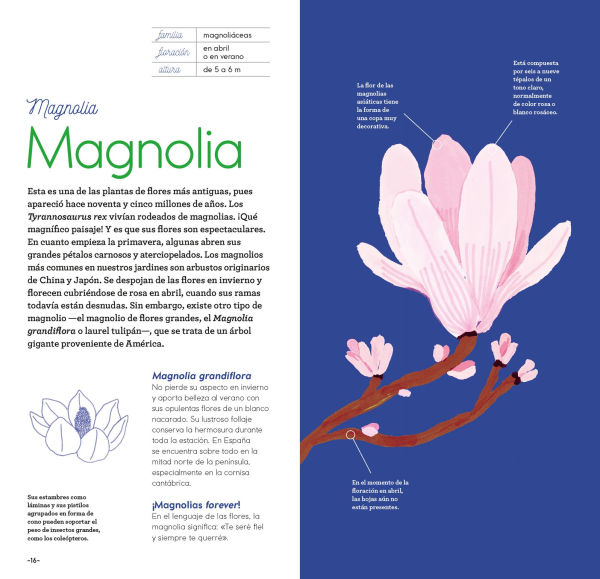 Flores y su magia / Flowers and Their Magic