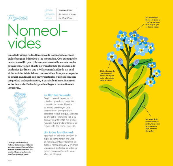 Flores y su magia / Flowers and Their Magic