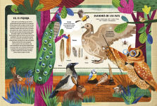 Alternative view 2 of El libro de los pï¿½jaros / The Book of Birds (Spanish Edition): La riqueza del mundo de las aves