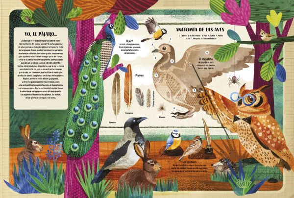 El libro de los pï¿½jaros / The Book of Birds (Spanish Edition): La riqueza del mundo de las aves