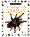 Asombrosas Aranas