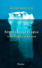 Respirar bajo el agua: La espiritualidad y los doce pasos