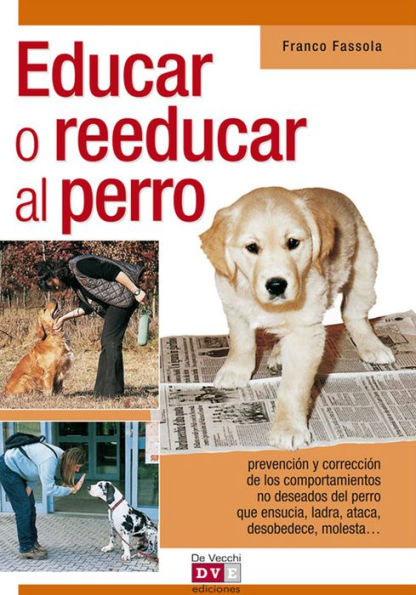 Educar o reeducar al perro