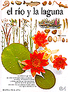 El Rio Y la Laguna