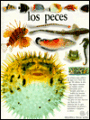 Peces