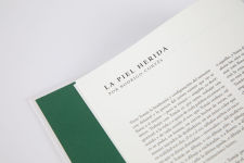 Alternative view 2 of La piedra blanda / The Soft Stone