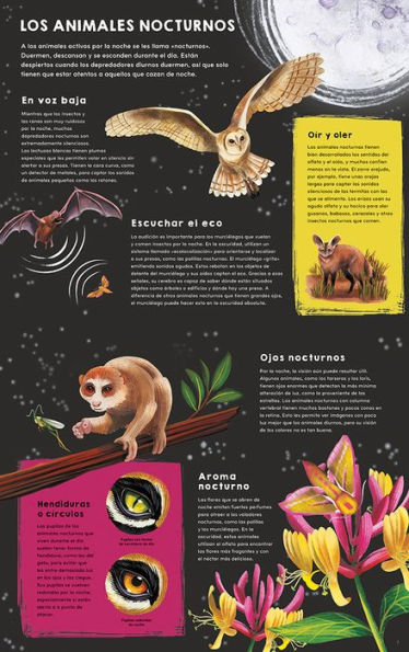 Qué hacen los animales de día... y de noche / Day to Night: A Flip Book