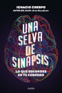 Una selva de sinapsis: Lo que escondes en tu cerebro