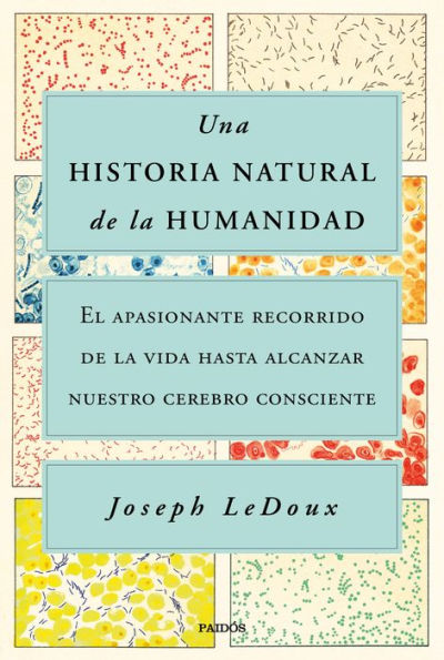 Una historia natural de la humanidad: El apasionante recorrido de la vida hasta alcanzar nuestro cerebro consciente