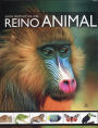 Guia definitiva del reino animal