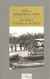 Un dique contra el Pacifico