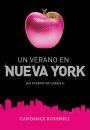 Un verano en Nueva York (Summer and the City)