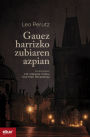Gauez harrizko zubiaren azpian