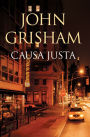 Causa justa (The Street Lawyer)