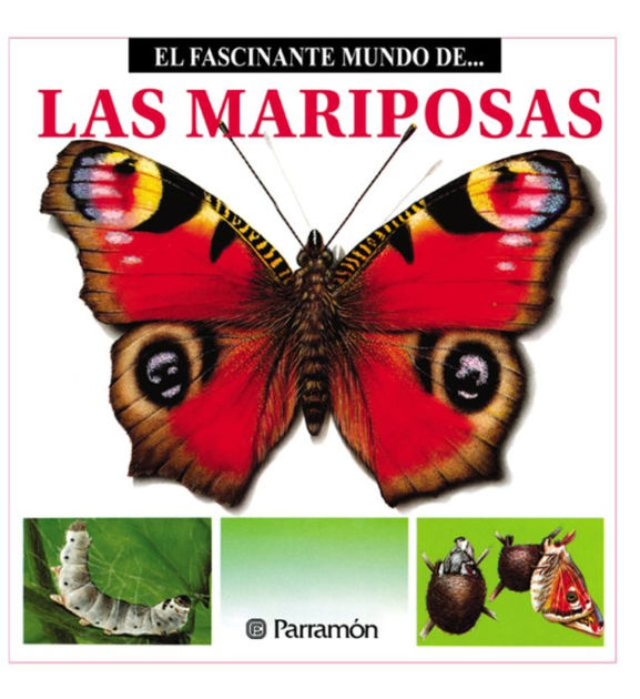 Las Mariposas By Maria Àngels Julivert 