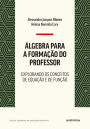 Álgebra para a formação do professor: Explorando os conceitos de equação e de função