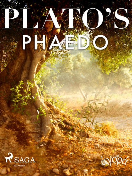 Plato's Phaedo