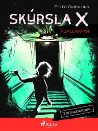 Title: Skýrsla X - Kjallarinn, Author: Peter Grønlund