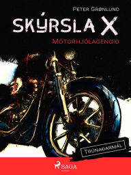 Title: Skýrsla X - Mótorhjólagengið, Author: Peter Grønlund