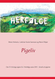Title: Pigeliv: Om 13-16 årige pigers liv i Herfølge anno 2013 - fortalt af pigerne, Author: Cathrine Storm Sïrensen