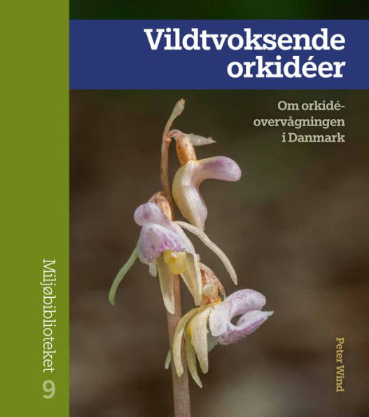 Vildtvoksende orkidéer: Om orkidéovervågningen i Danmark