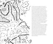 Alternative view 13 of The Little Mermaid by Hans Christian Andersen & Yayoi Kusama: A Fairy Tale of Infinity and Love Forever